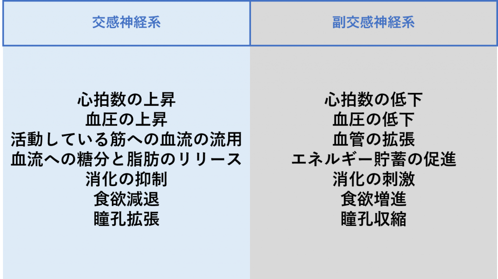 自律神経をコントロール！HRVとは 松山、大街道の1日10分からのプライベートジム「10min（テンミン）」